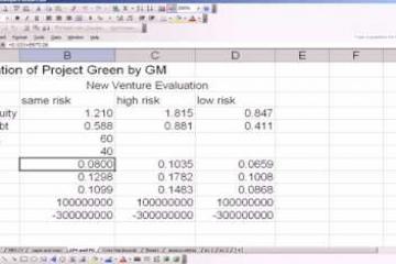 Lecture: Discount Rate Determination