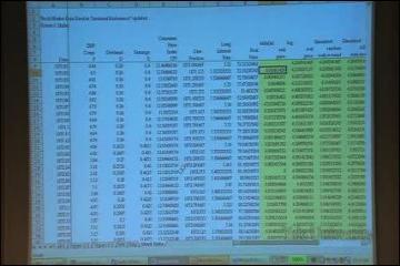 Lecture: Efficient Markets vs Excess Volatility