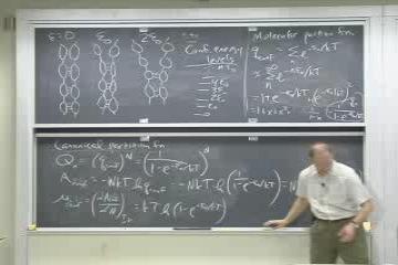 Lecture: Model Systems