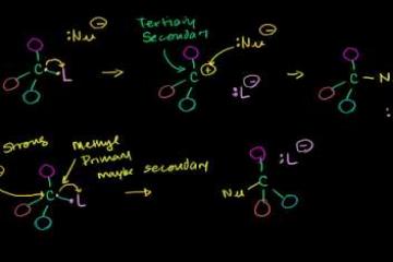 Lecture: Solvent Effects on Sn1 and Sn2 Reactions 