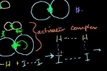 Lecture: Introduction to Kinetics